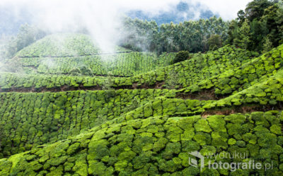 W jaki sposób należy urządzić biuro?